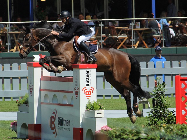 关键在于国 关键在于国