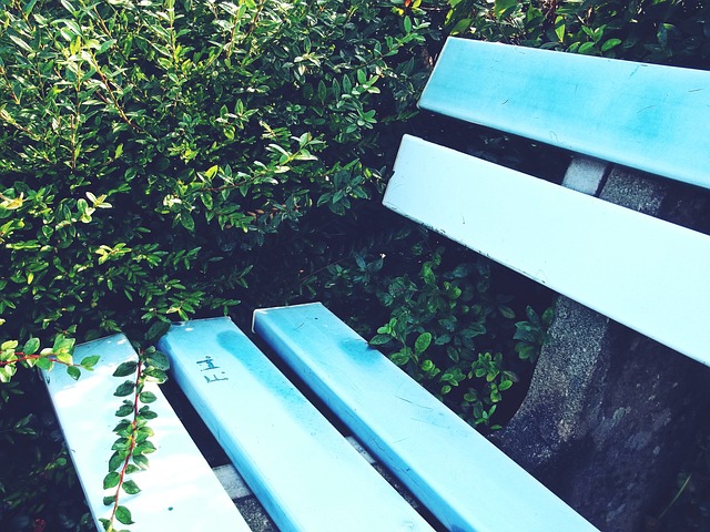 纳达尔也曾 纳达尔也曾