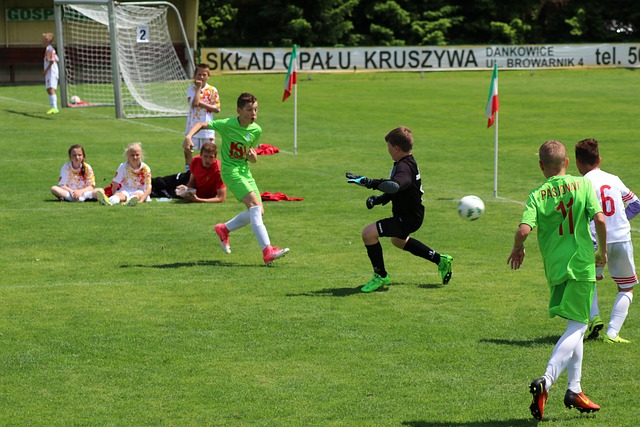 的重要作用 的重要作用