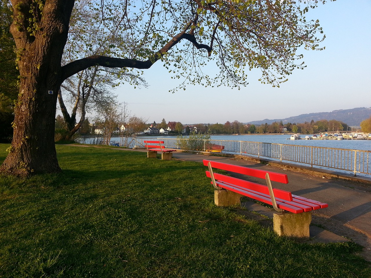 的比赛充满 的比赛充满