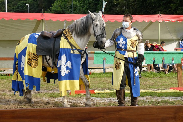 队整体化学 队整体化学