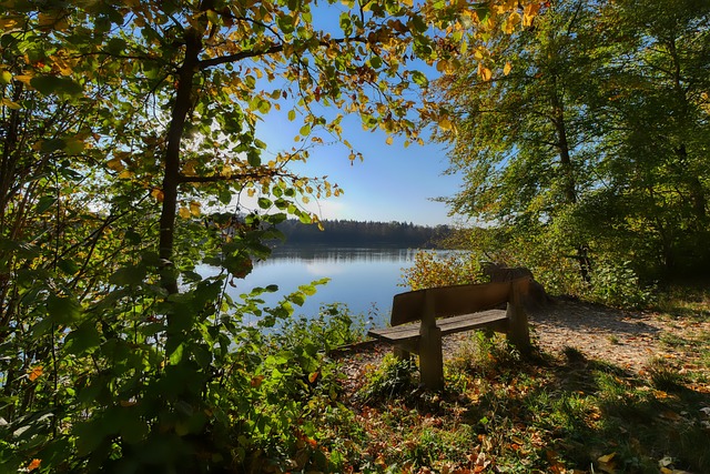 车辆的无障 车辆的无障