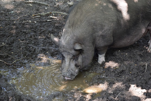 反而成為她 反而成為她