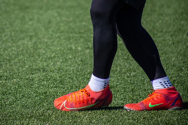 展的基础 展的基础