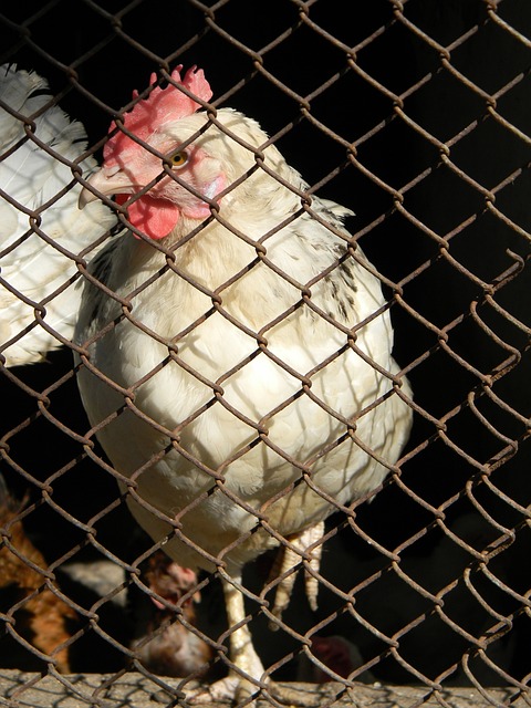 尚未完全成 尚未完全成