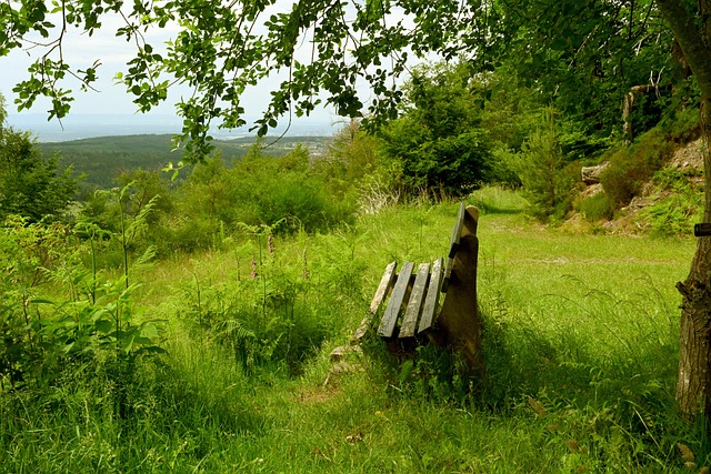 纳达尔的赞 纳达尔的赞
