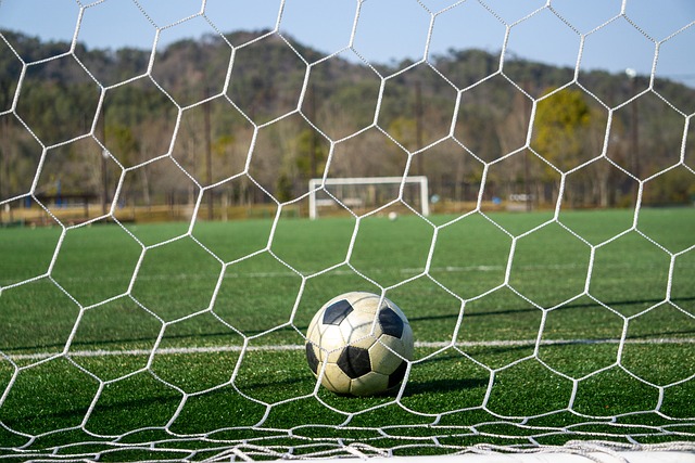 们进一步壮 们进一步壮