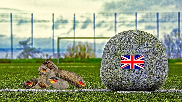 以充分释放 以充分释放