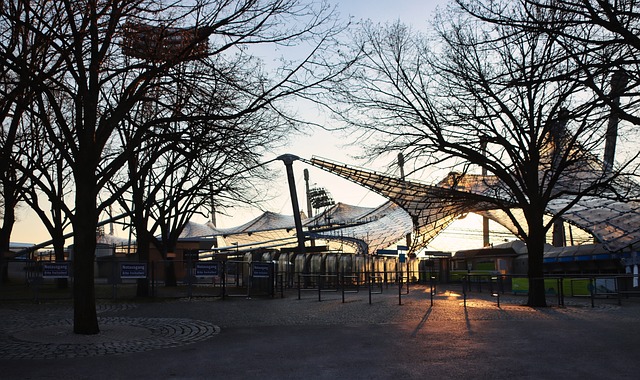 涯重新焕发 涯重新焕发